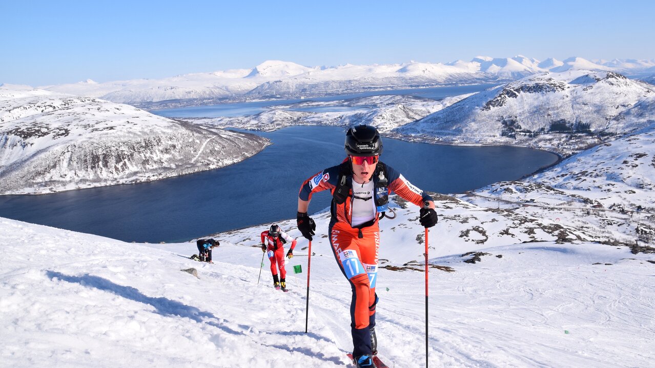 Armin Höfl mit Zeitstrafe auf Platz 13 | © Ski Austria / Weigl: