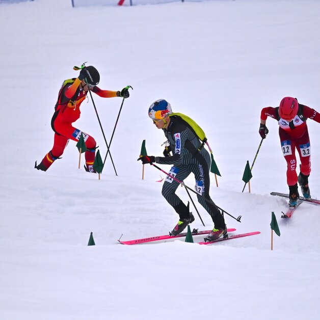 © SKI Austria / Weigl