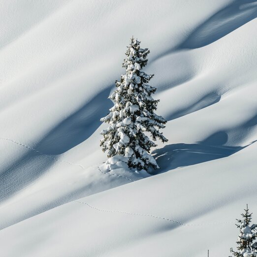 © Salzburger Land Tourismus